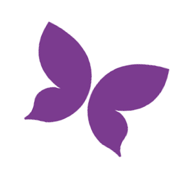 South Florida Wellness Network